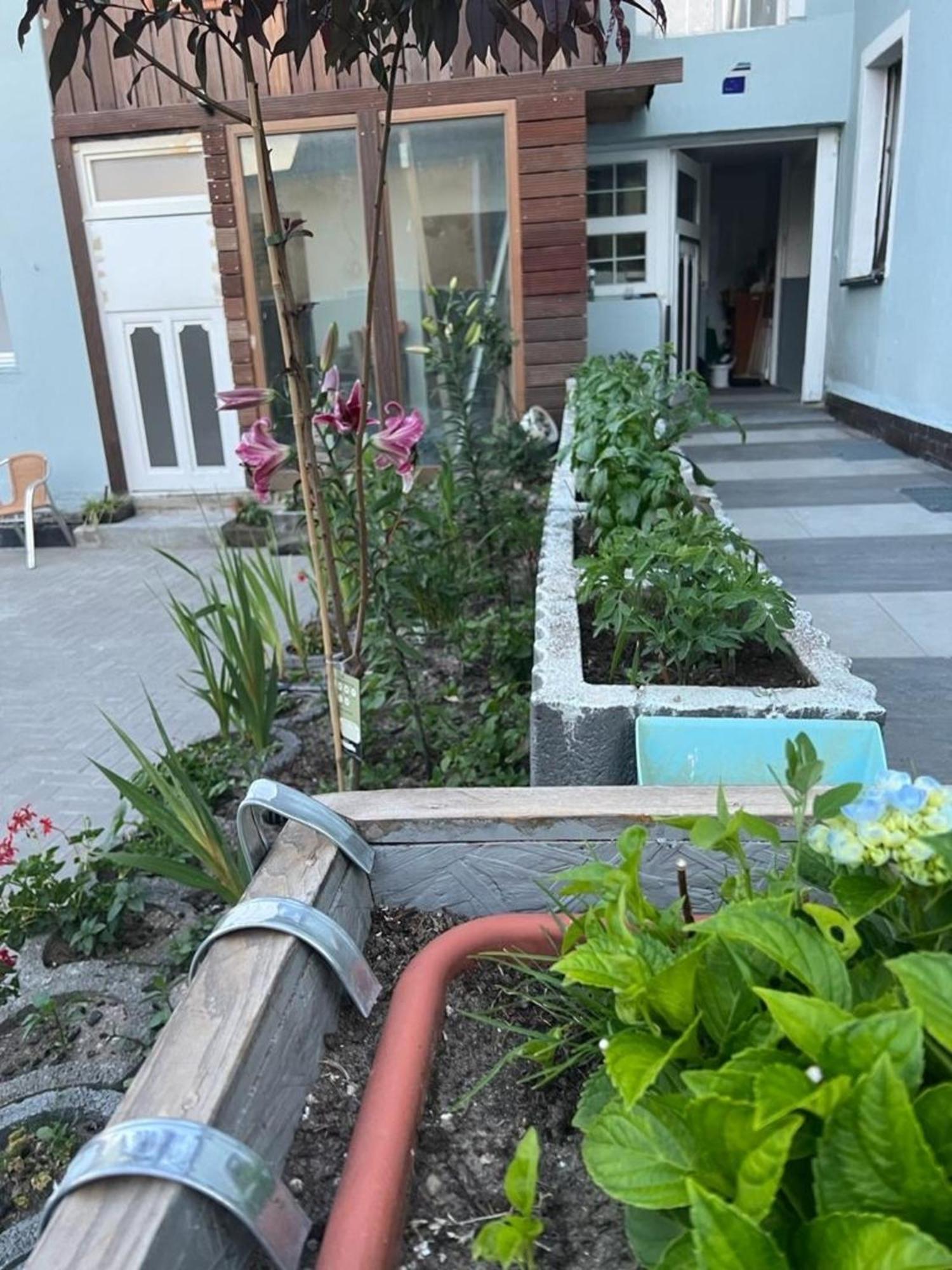 Antike Wohnmoeglichkeit Kurz Und Langfristig 100Qm Erdgeschoss Apartment Lauchhammer Exterior photo