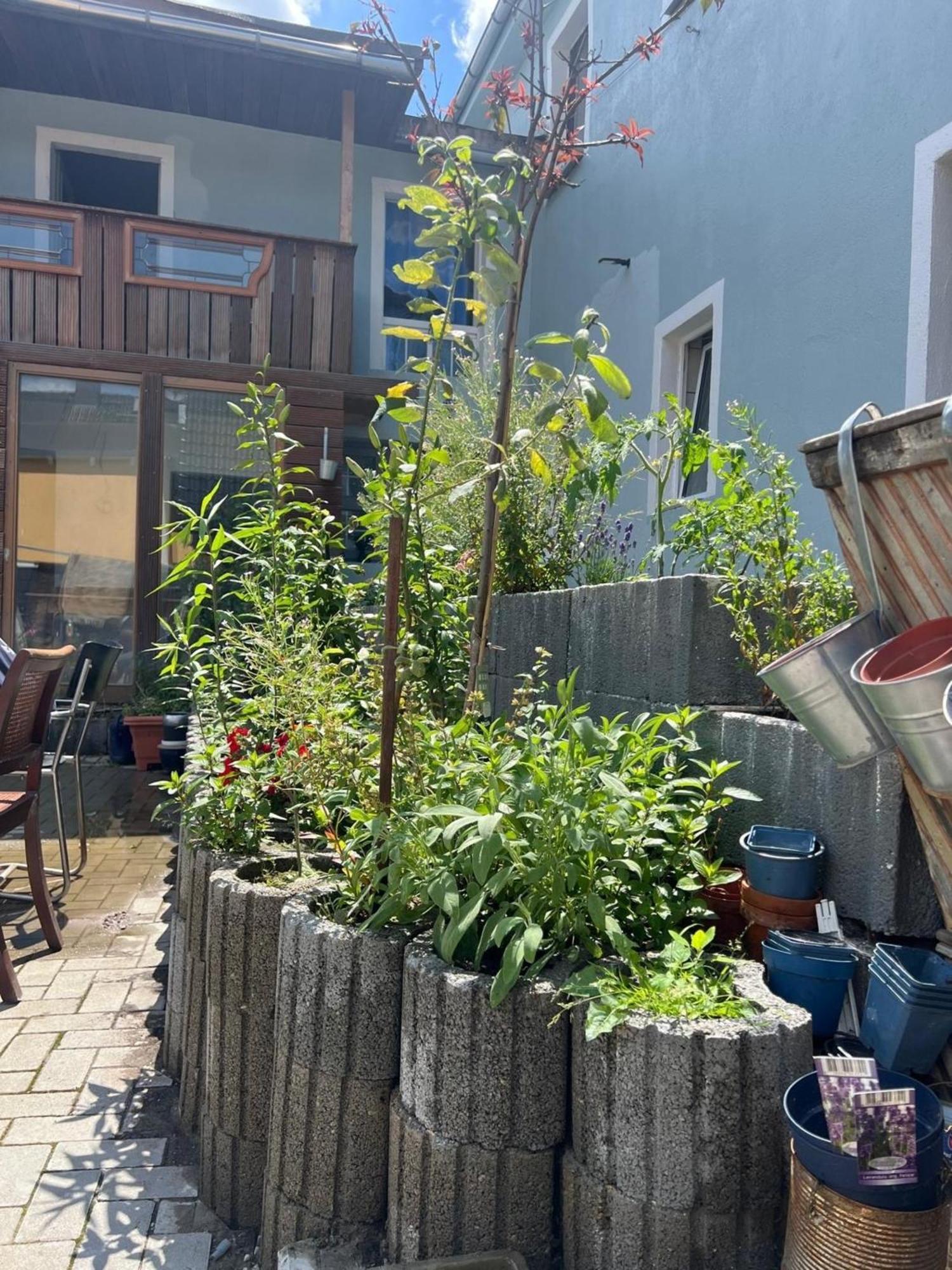 Antike Wohnmoeglichkeit Kurz Und Langfristig 100Qm Erdgeschoss Apartment Lauchhammer Exterior photo