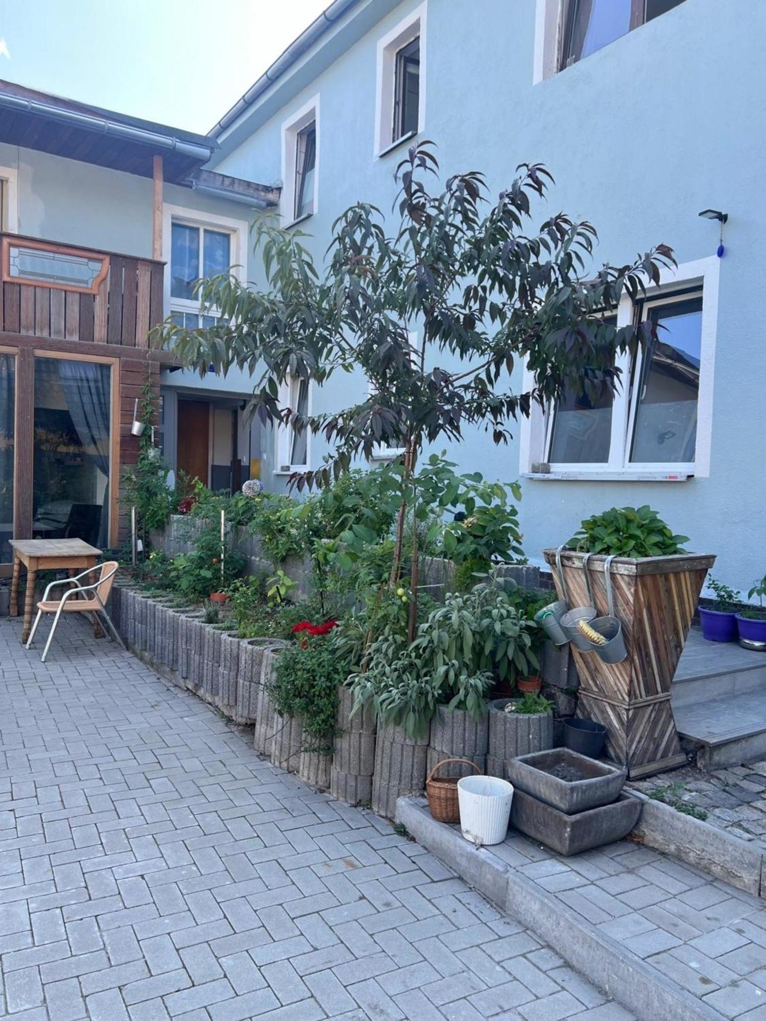 Antike Wohnmoeglichkeit Kurz Und Langfristig 100Qm Erdgeschoss Apartment Lauchhammer Exterior photo